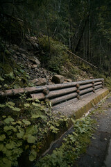Mystic mountain forest. Local scenery of the forest descending from the top of Moeskie Oko lake in...