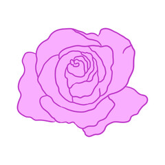 Purple Rose Hand Drawn