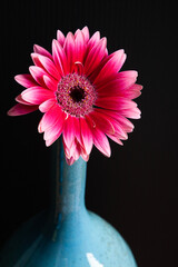 赤いガーベラの花 一輪挿し 花房