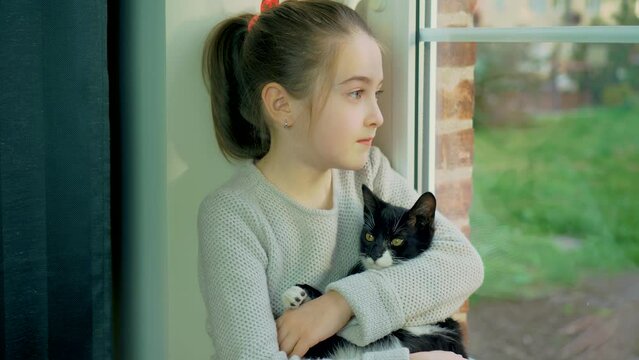 Lonely girl looks outside window at street and hugging her beloved cat. Save lifes, no war, world peace, stop conflict, born love. Childhood in difficult times