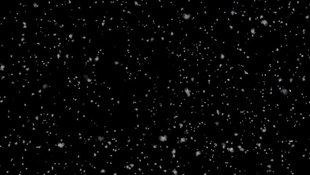 Realistic snowfall overlay, black background - winter, slowly falling snow effect