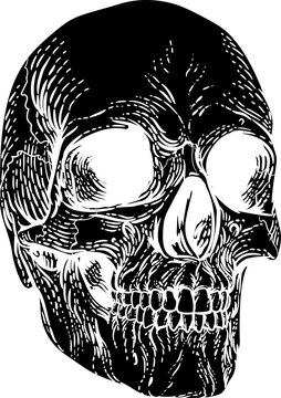 recommend clip art: Skull Grim Reaper Vintage Woodcut Illustration