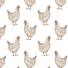 Chicken pattern.Farm.Watercolor print on white background.Natural hand drawn pattern