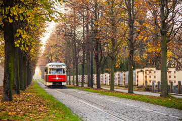 Fototapeta na wymiar Old vintage tourist tram comes through the alley of a Prague city in an autumn day. Electric transport connection. Prague tram network is third largest in a world. Retro historic electro transport