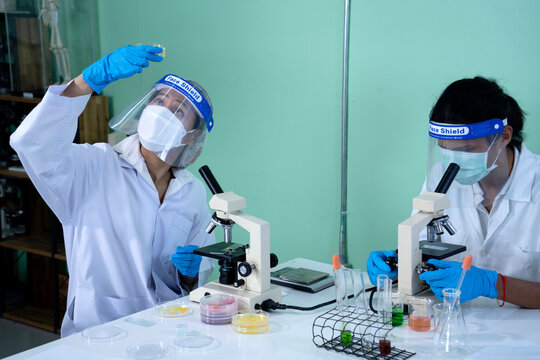 Scientists looking at tissue samples or specimens in the lab