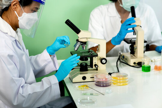 team of scientists is preparing to isolate tissue for research in laboratory