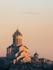 Tbilisi Holy Trinity Church, with a flock of birds