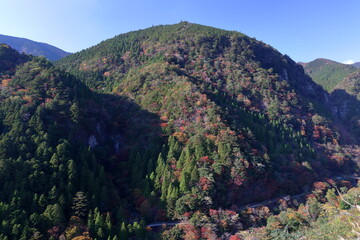 Fototapeta premium 大荒の滝 もみじ峡 （高知県 香美市）