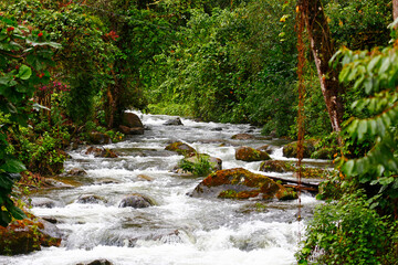 Savegre River, Costa Rica