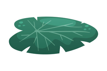Green Water Lily Pad and Lotus Leaf Vector Illustration © Happypictures