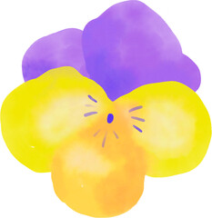 Colorful flower blossom bloom botanical japan garden