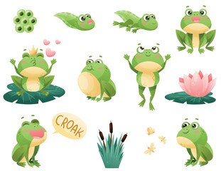 Obraz premium Cute Green Leaping Frog Character with Water Lily and Reed Vector Set
