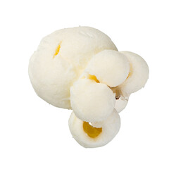 Single popcorn seed, macro shot isolated on transparent background as png clipart