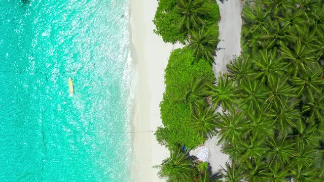 Top view aerial drone shot of beautiful white sand beach with green coconut trees and crystal clear sea water in summer.