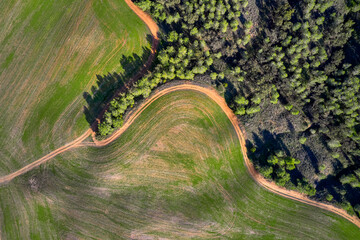 Spring  landscape in the countryside, Israel. Aerial view
