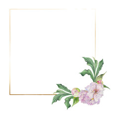 Watercolor square frame arrangement with hand drawn delicate pink peony flowers, buds and leaves. Isolated on white background. For invitations, wedding, love or greeting cards, paper, print, textile