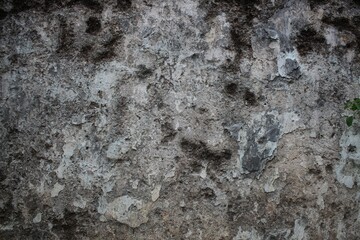 A weathered concrete wall with cracks and peeling paint, showing signs of age and decay.