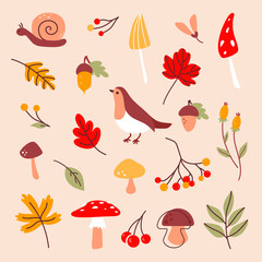 snail, plants, mushrooms, berries, leaves. Natural elements isolated on pastel background.
Botanical collection for scrapbooking, greeting cards, invitations, posters, stickers, decorations and more.