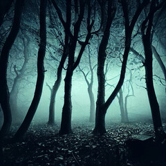 mysterious forest with scary trees