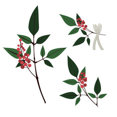 南天のイラストセット