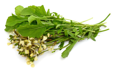 Arugula flowers and leaves.