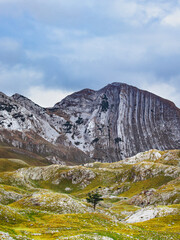 landscape in the mountains