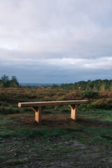 New Bench on Hindhead Common