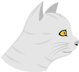 Side view of cat's face.