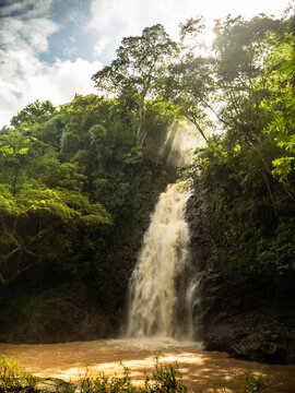 waterfall in jungle © David