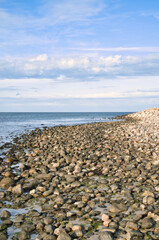 Fototapeta na wymiar Stone beach by the sea. Danish coast on a sunny day with clouds in the sky. Landscape