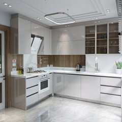 Modern Kitchen