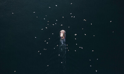 A Fishing Boat at Sea Swarmed By Seagulls Aerial View