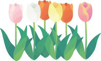 いろんなチューリップ