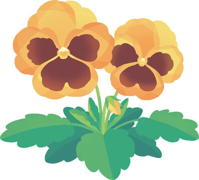 黄色いパンジー