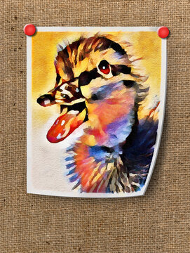 A digital watercolor painting of a baby mallard duck is pinned to a burlap background with red thumbtacks in a 3-d illustration about wildlife art and paintings.
