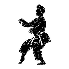 Obraz premium karate icon vector logo solhouette