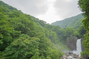 緑の山から突然姿を現す苗名滝