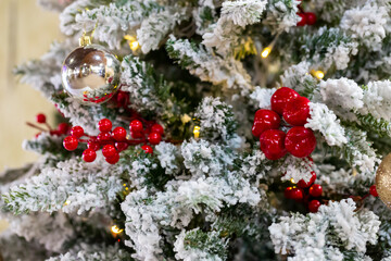 New year holiday evergreen tree, Christmas tree branches decorated with viburnum berries