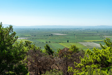 Fototapeta na wymiar Beautiful view from the ancient city of Priene to the alluvial plain of Büyük Menderes in Aydın, trees in the front, green fields on the background. Copy space for text. 