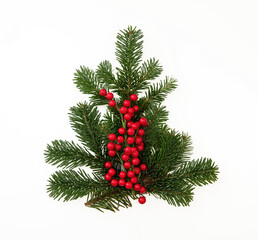 Fototapeta na wymiar Christmas tree isolated on white. Fir twig and red winter berries decoration.
