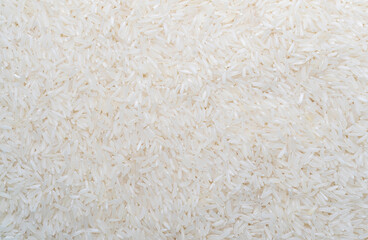 Jasmine rice