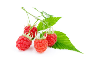 Red ripe raspberries with green leaves on a white background, summer berries.