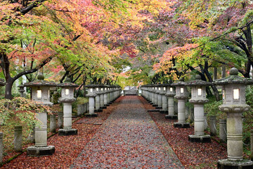 秋の兵庫県丹波市 高山寺の美しい紅葉の参道
