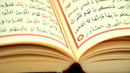 Quran pages with Arabic scripts  