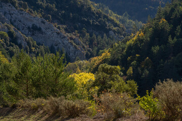 Scenic autumn landscape in the Pyrenees mountain range with bright golden foliage in forest, Gincla, Aude, France