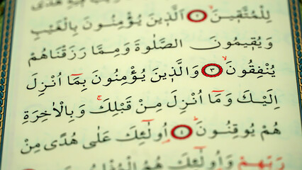 Quran pages with Arabic scripts  