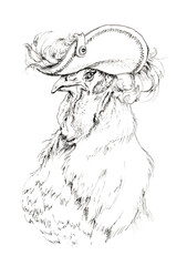 General rooster. Comic drawing of a pompous rooster wearing a cocked hat with a feather. Hand drawn ink illustration.