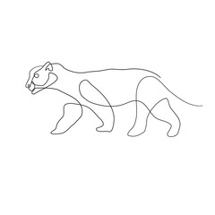 Contour line art jaguar panther Tiger illustration 