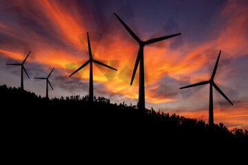 Silhouettes of a group of wind turbines and a pine forest in mountain against a dramatic sky with a beautiful sunset, backlit. Renewable energies concept.