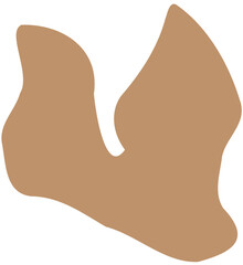 Christmas illustration